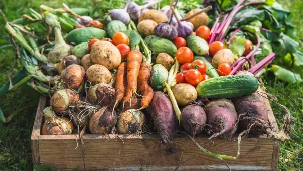 1000009440 1000009440